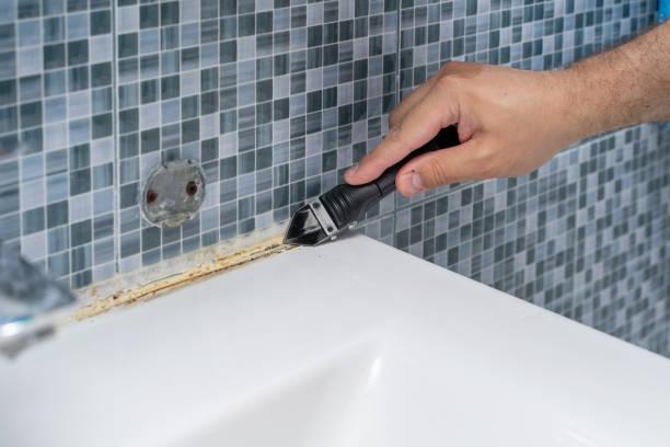 Best Black Mold Remediation in Socastee, SC